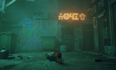 Stray