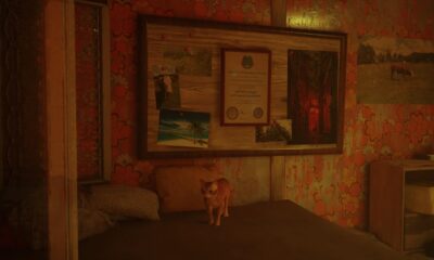 Stray