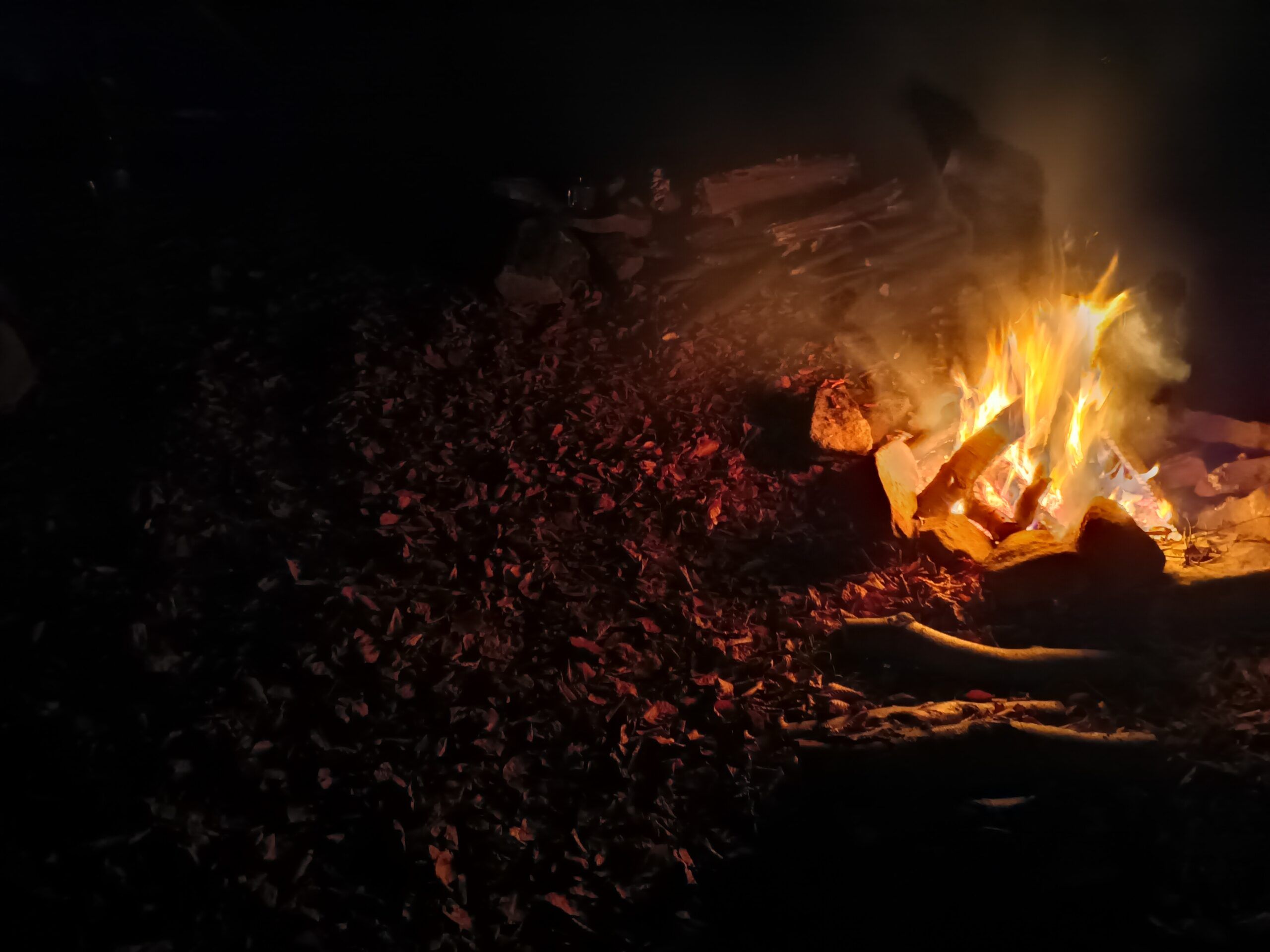 Oukitel WP55 Pro – telefon używany na biwaku w lesie