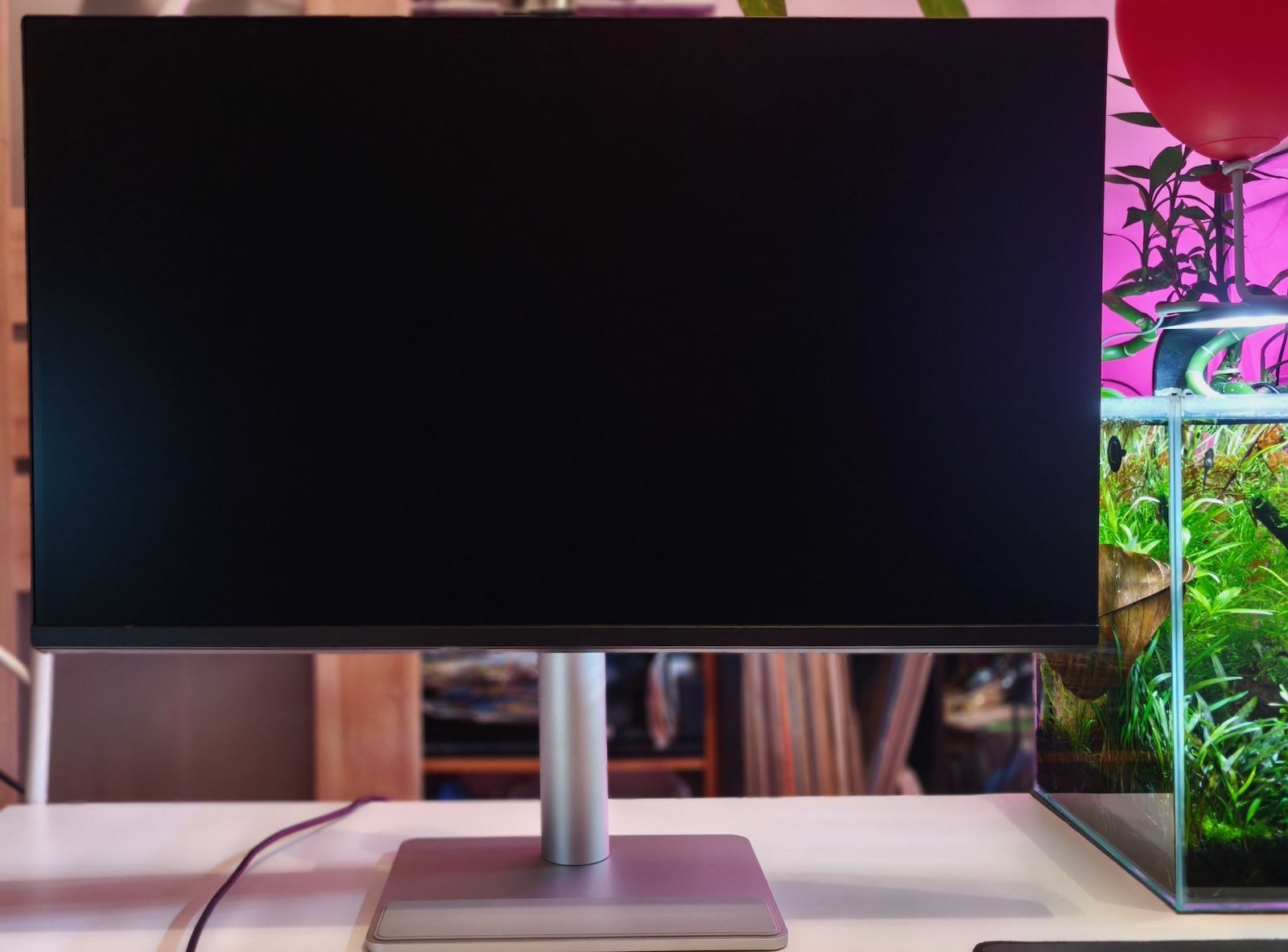Monitor BenQ MA320U stojący na biurku obok podświetlonego akwarium