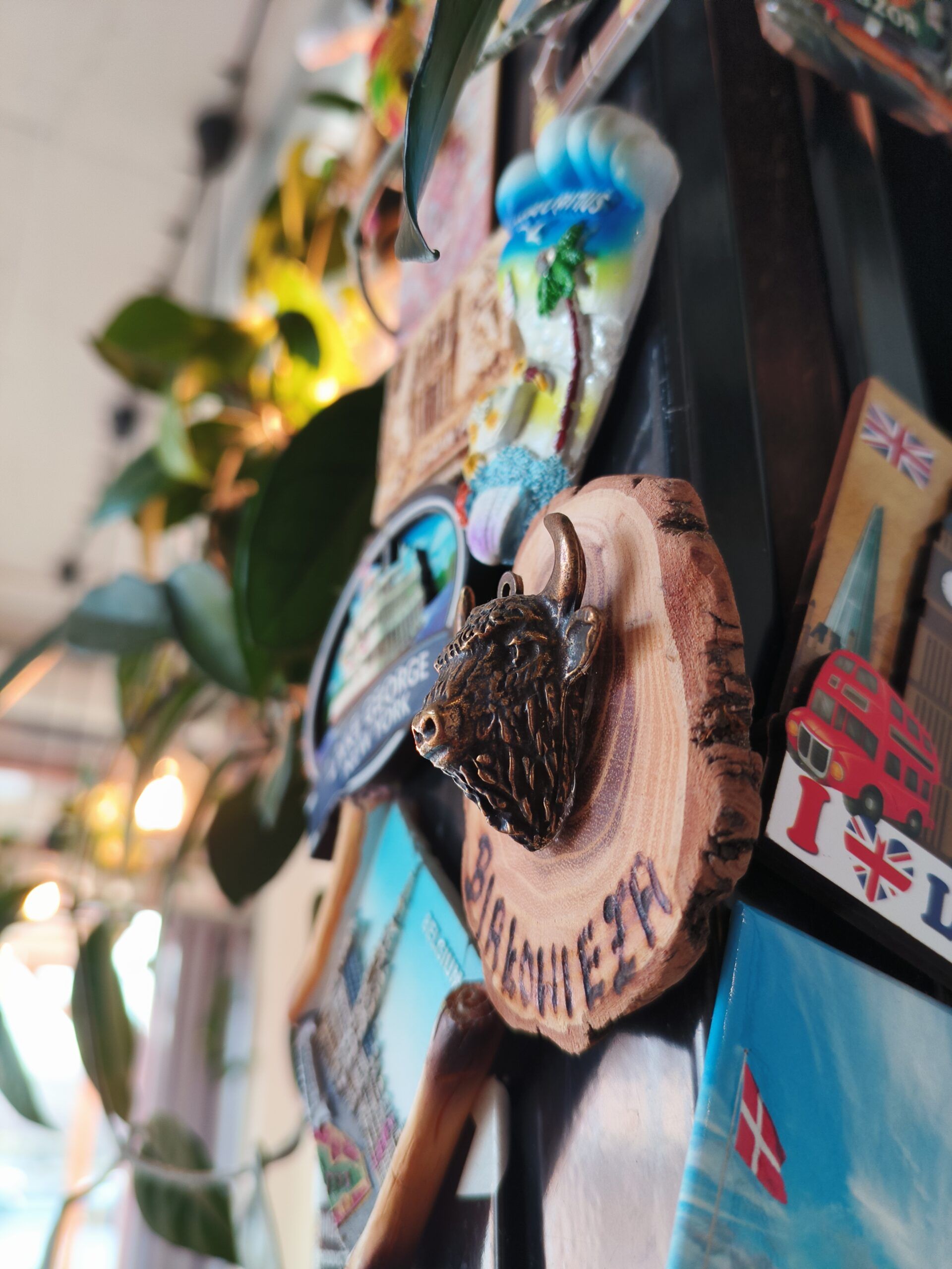 Efekt rozmycia tła w smartfonie Oukitel WP200 Pro - ostry magnes z żubrem z Białowieży na tle innych pamiątek