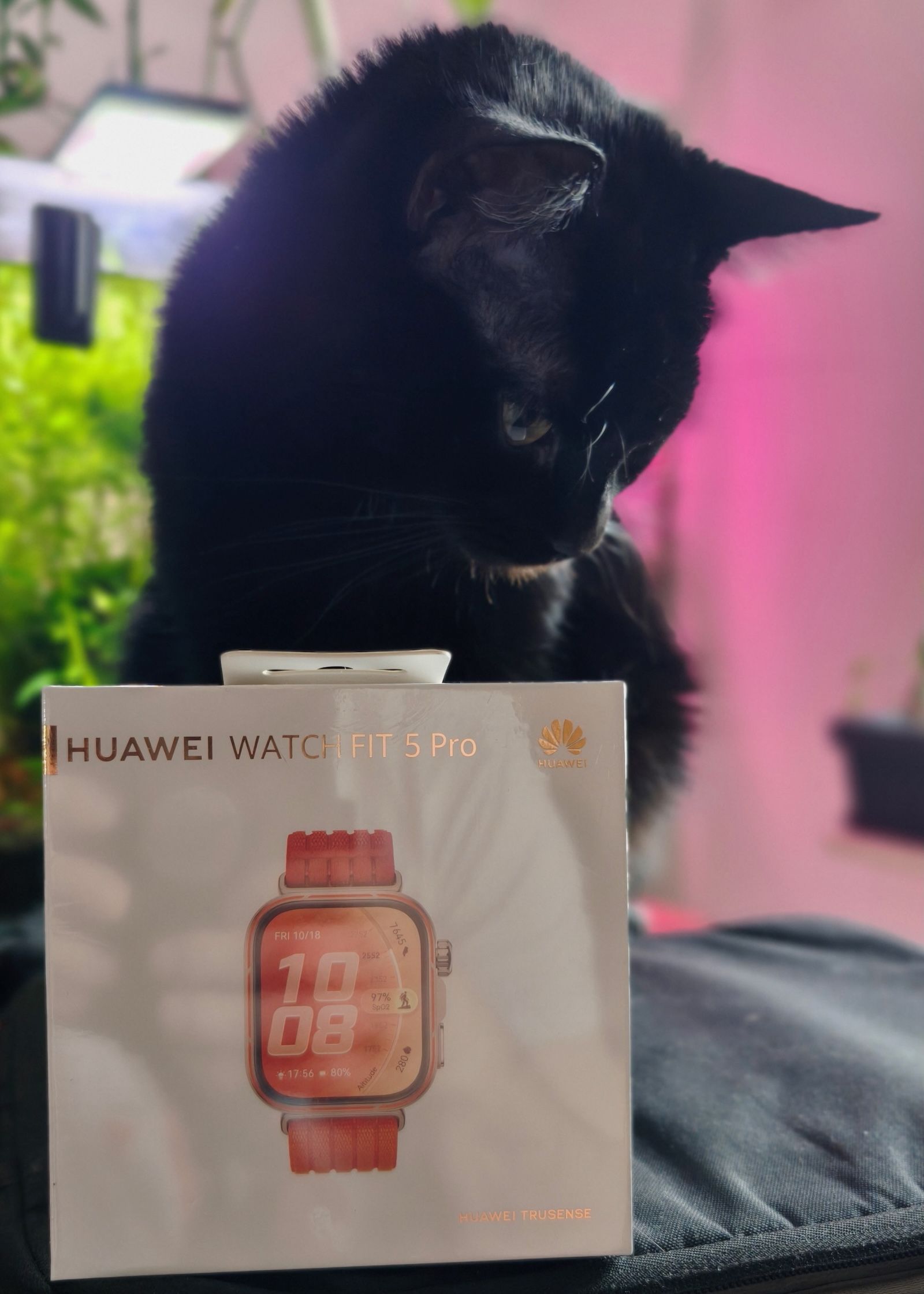 Czarny kot za pudełkiem Huawei Watch Fit 5 Pro