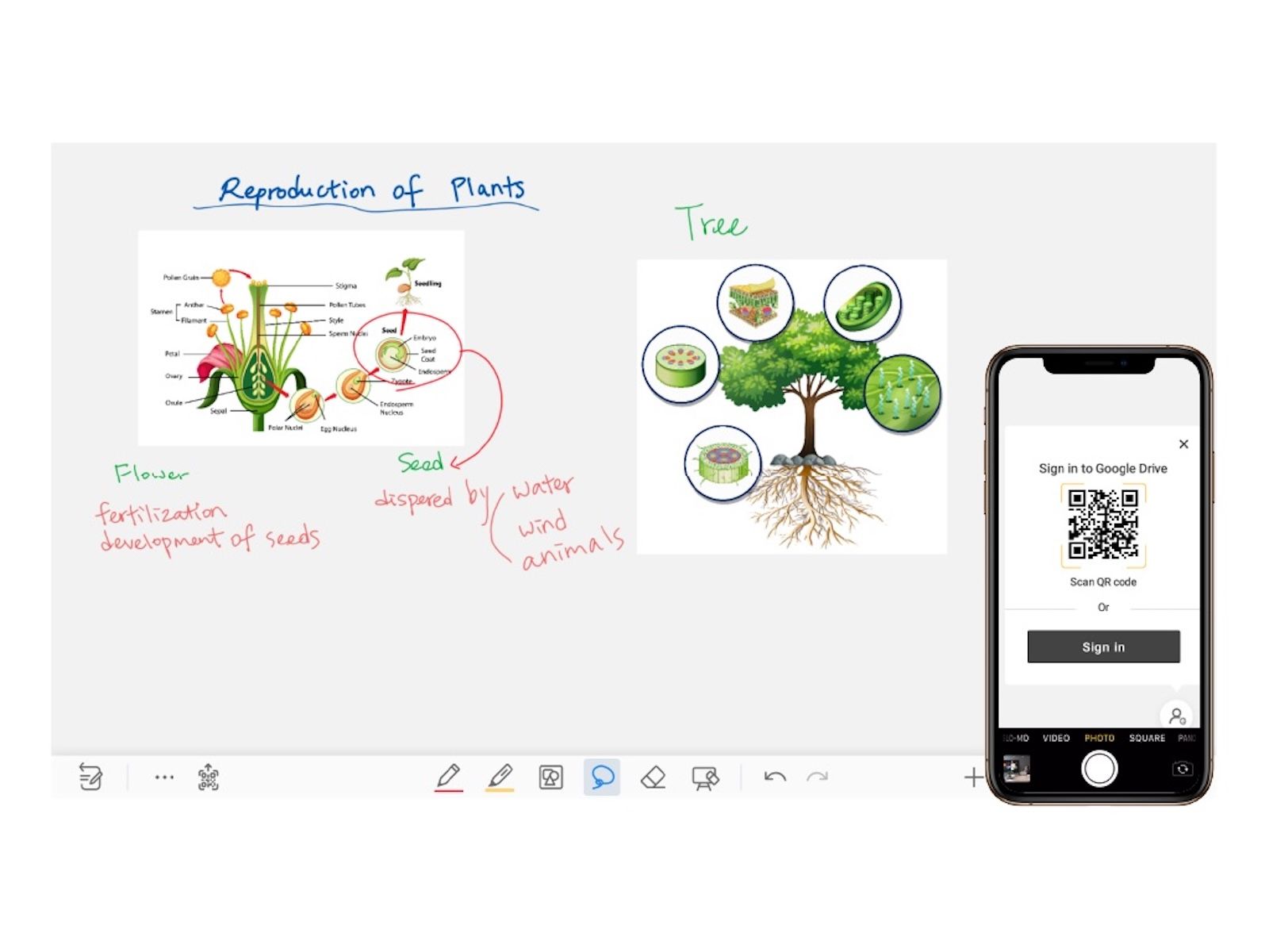 Newline_Whiteboard_Google-Drive-QR-code