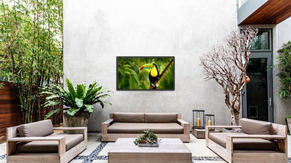 Ekran Newline XRT 4K na patio